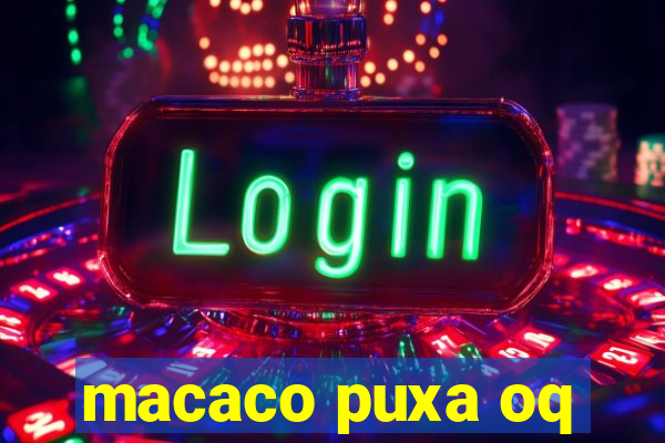 macaco puxa oq